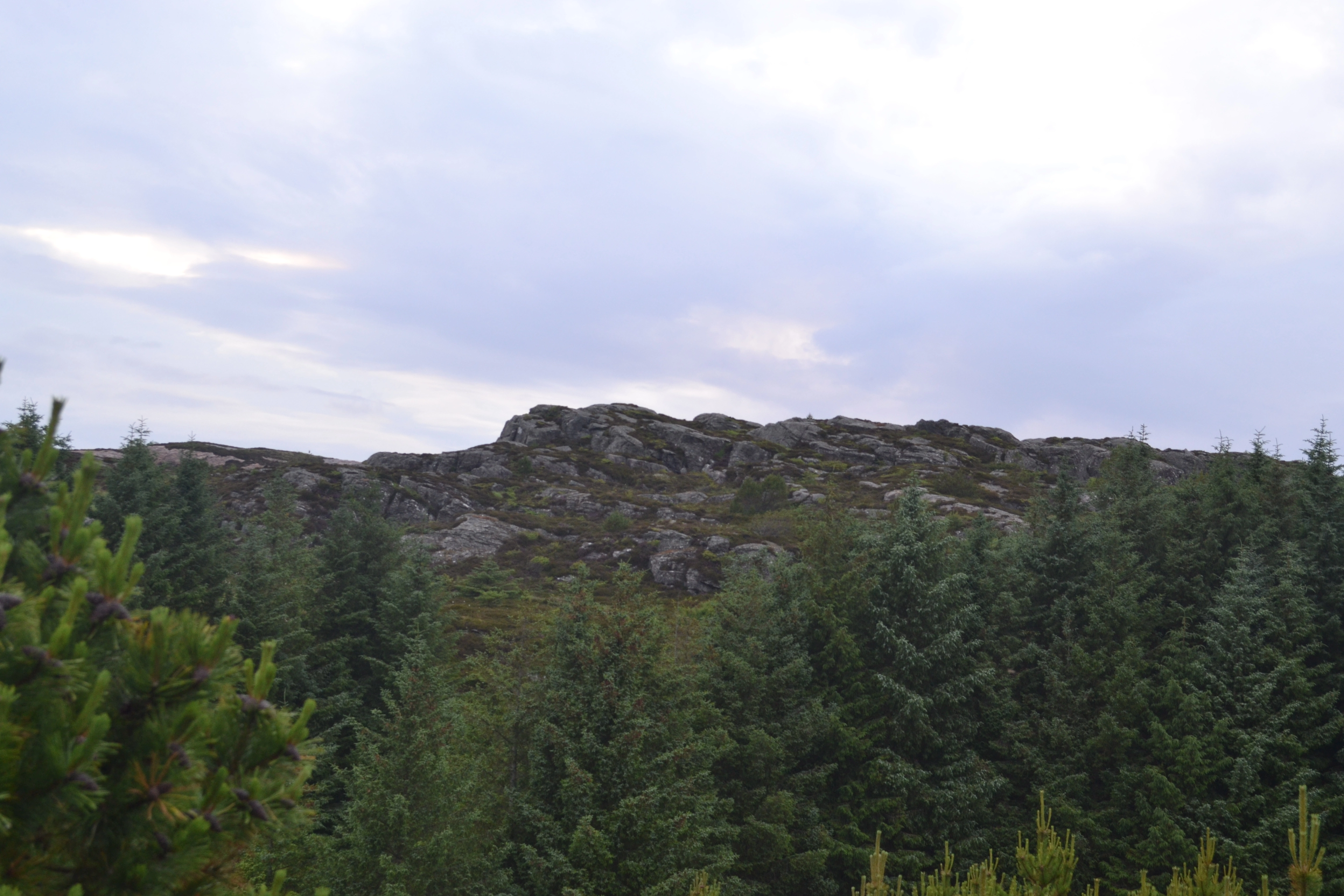 bilde av et fjell langt vekke med skog i mellom